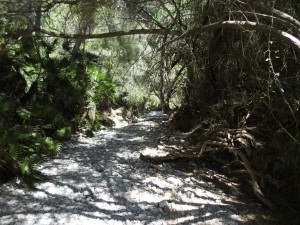 DSCN1712 (Medium)